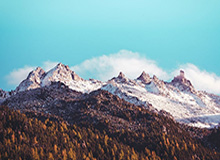 华体会官网:官方入口背后的信任、体验与价值